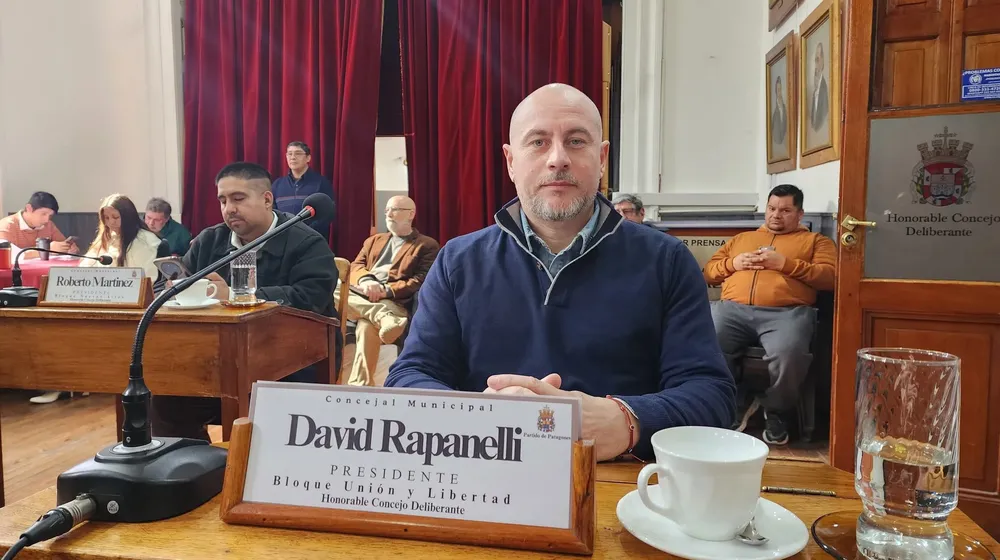 DAVID RAPANELLI