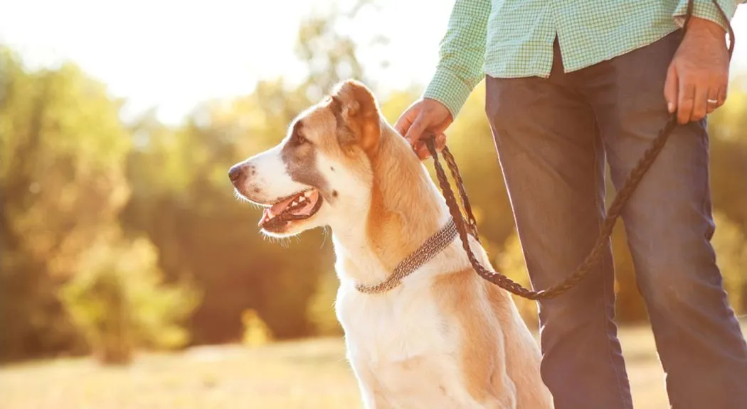 imagen_2026-01-07_125554071