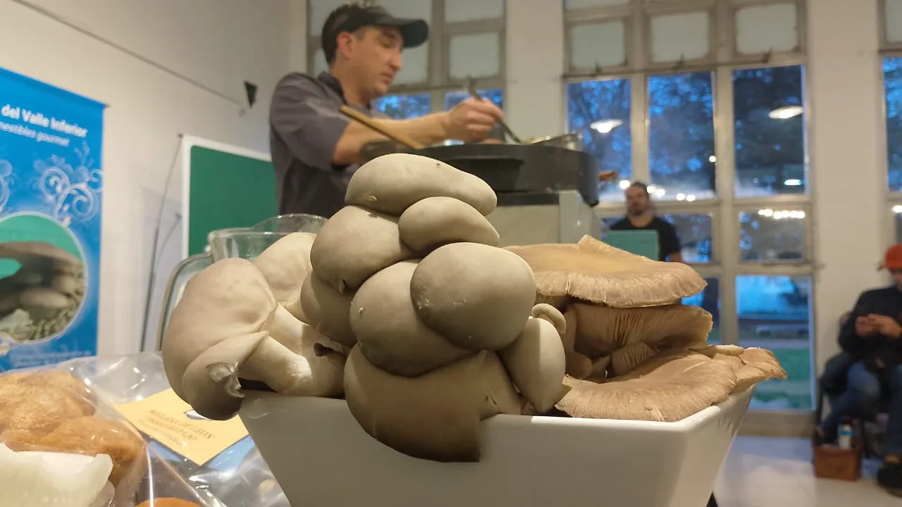 seminario nacional Comarca Fungi