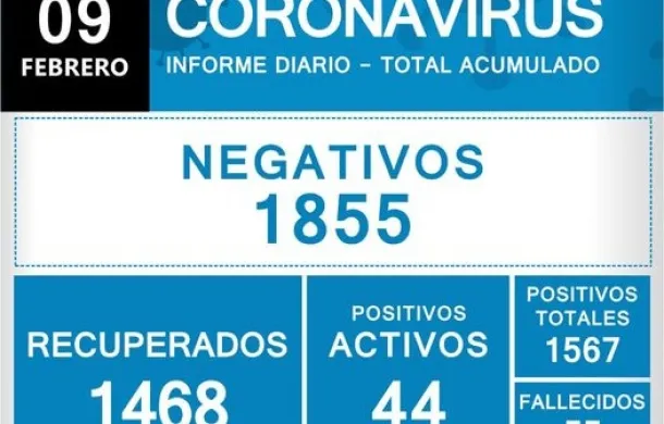 covid-19 pandemia patagones informe oficial