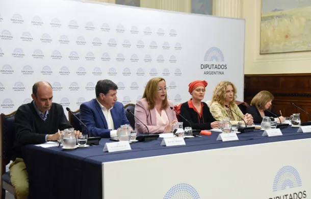 camara de diputados