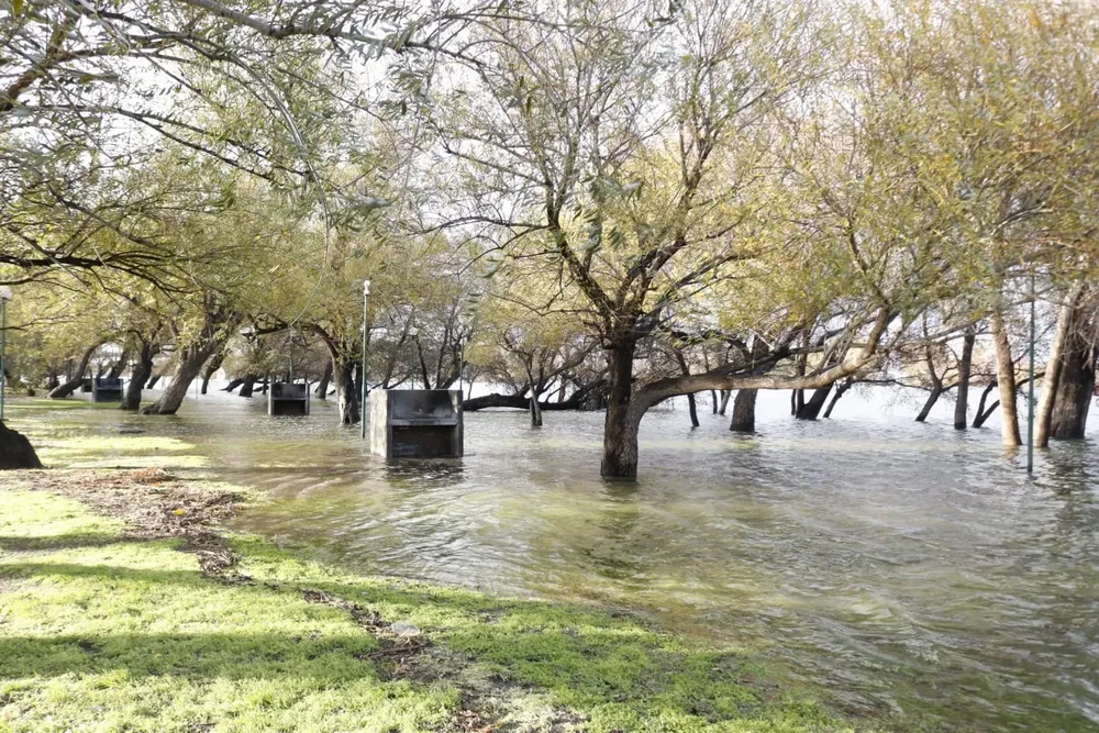 imagen_2025-06-23_112126476