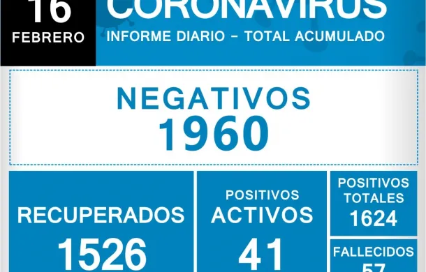 pandemia covid-19 datos oficiales