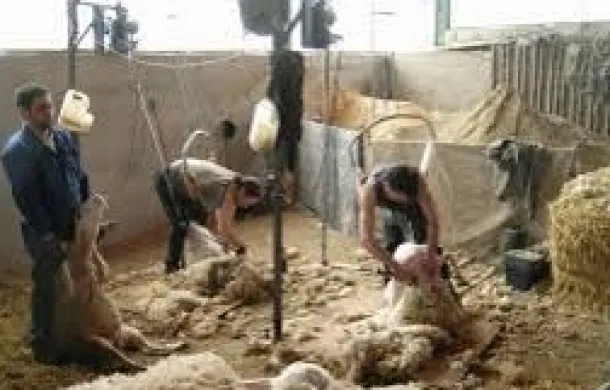 capacitación prolana esquila