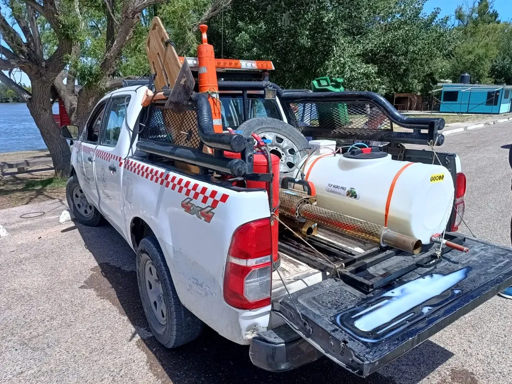 imagen_2025-11-14_172609347