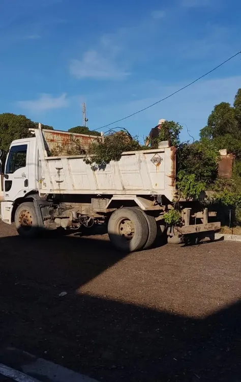 imagen_2025-12-03_122929396