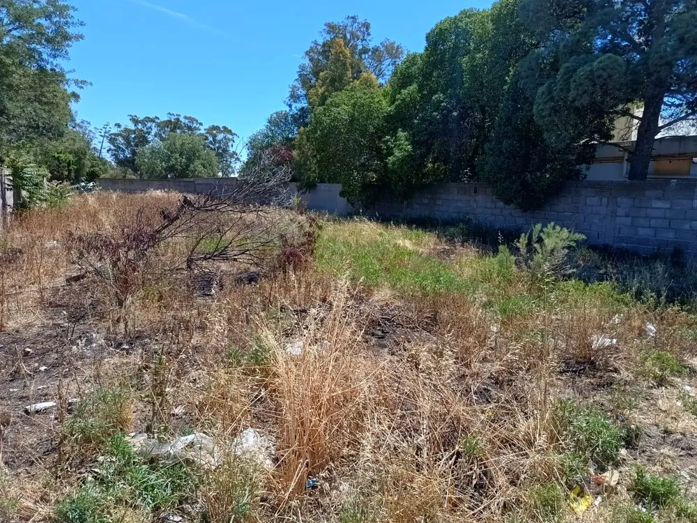 terreno baldio jardin 905