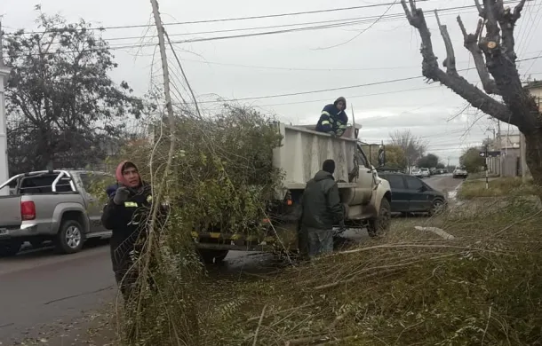 poda patagones