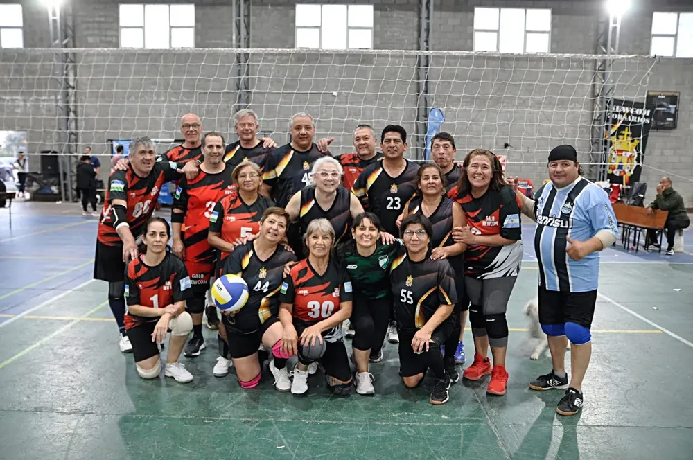 imagen_2025-12-17_213310952