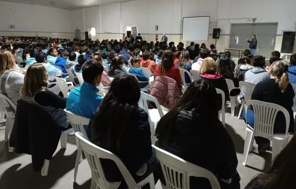 grooming villalonga
