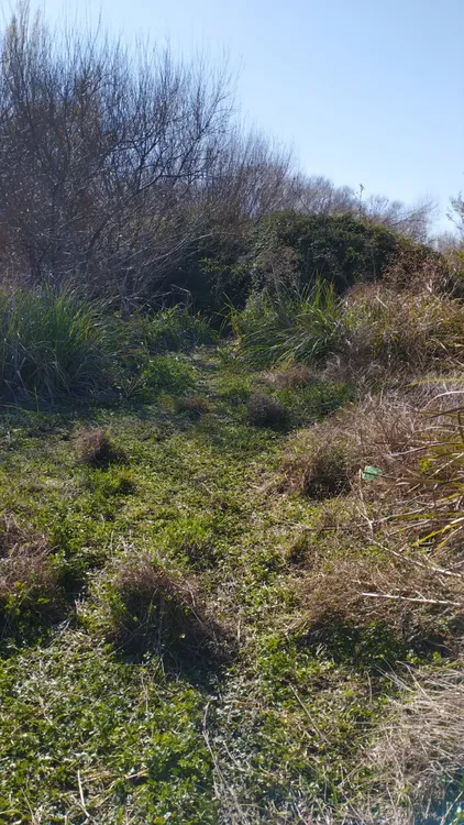 de79c0fe-e94c-497b-b73a-37d60f5f97ab