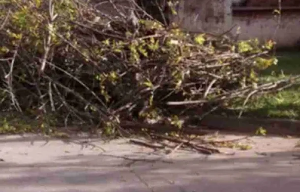 residuos no domiciliarios ramas