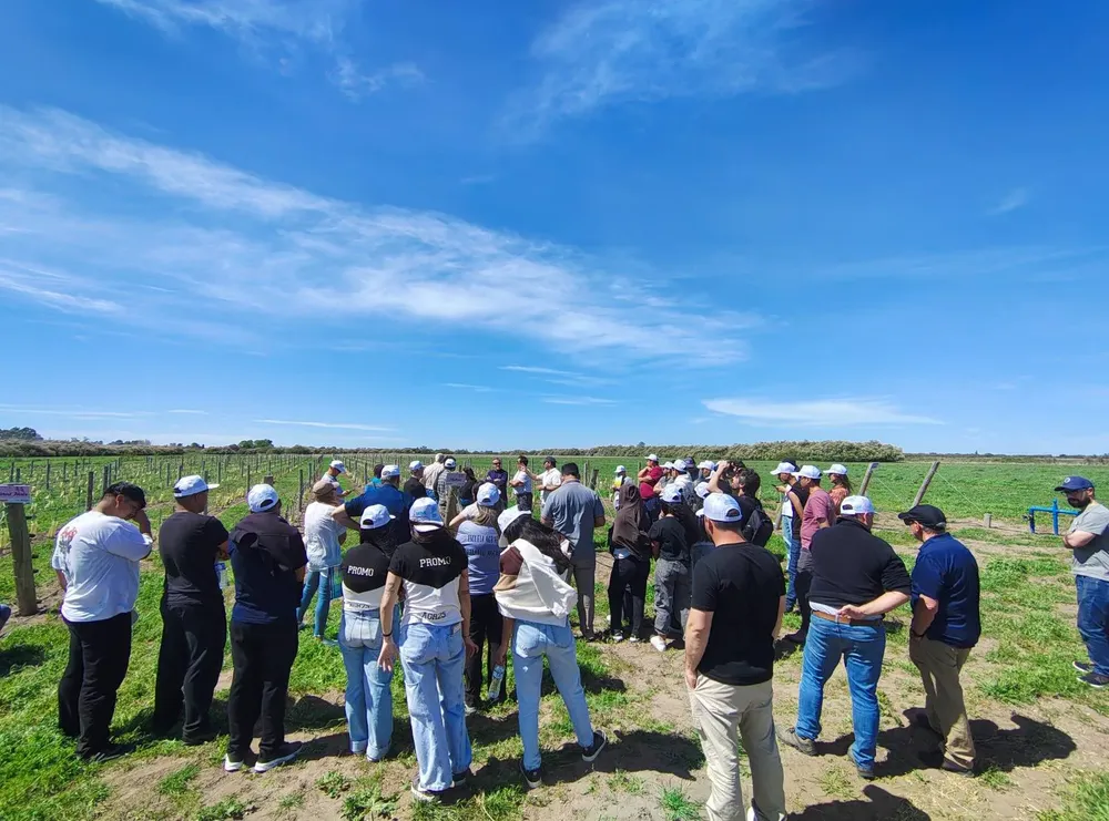 CORFO TRANQUERAS ABIERTAS