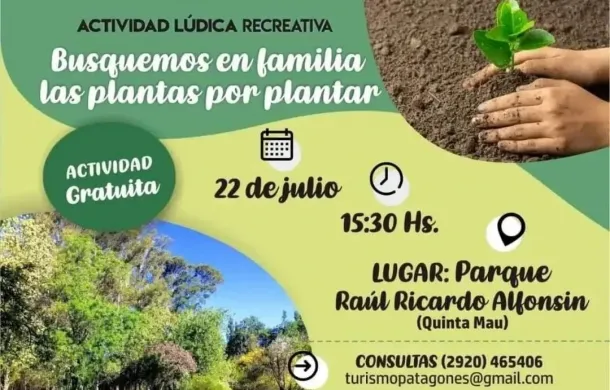 busqueda del tesoro plantas