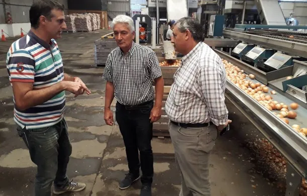 empresa villalonga cebolla