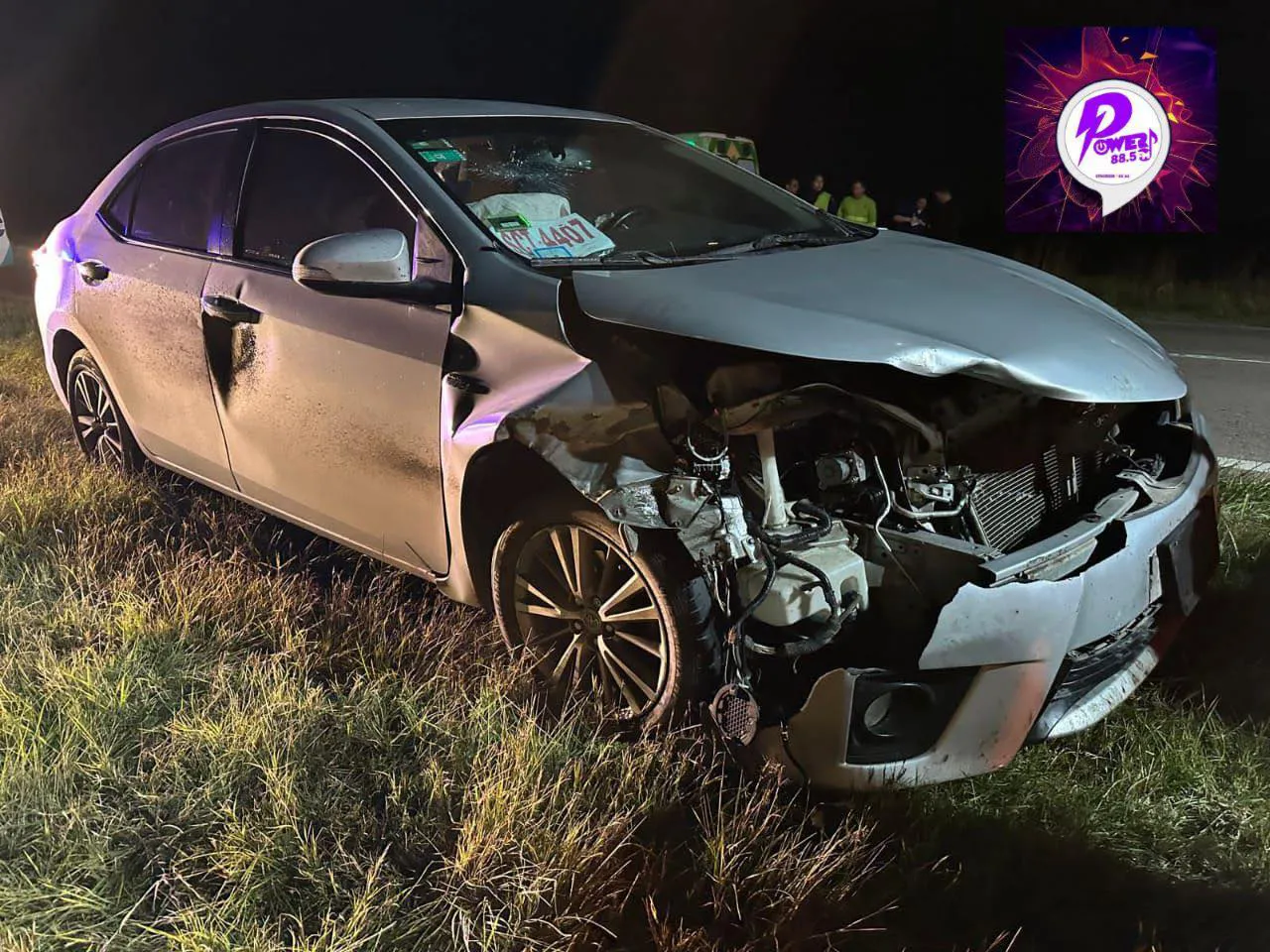 RUTA 3, VILLALONGA, ACCIDENTE, JABALI