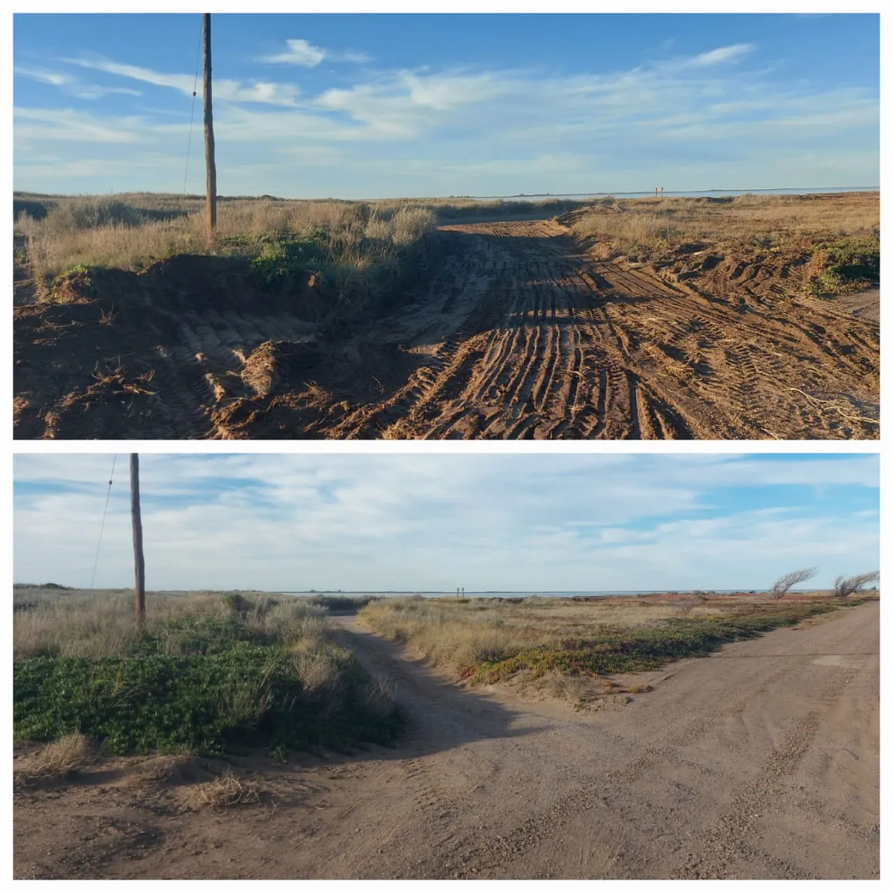 limpieza caminos
