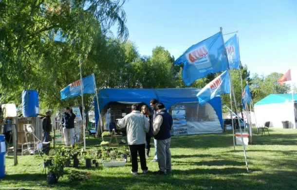 inta