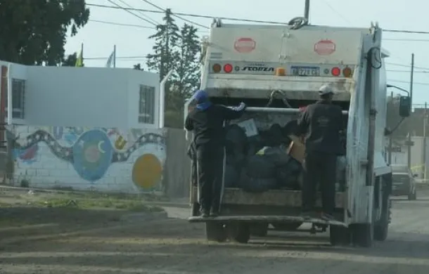 recolección