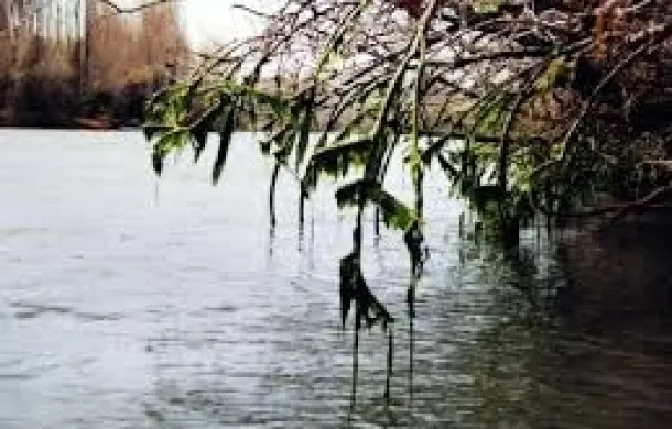 rio negro