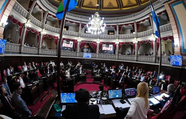 senado
