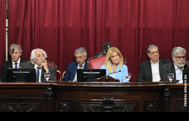 senado veronica magario