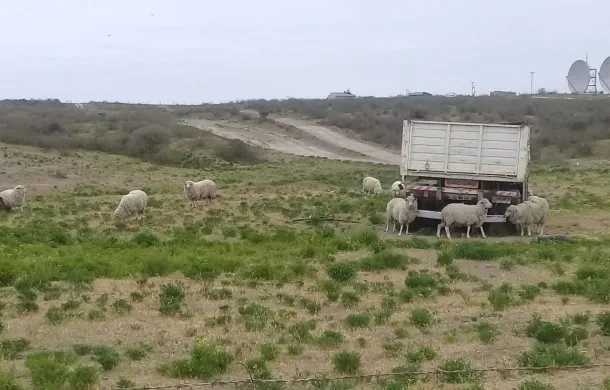 cochengo chacra