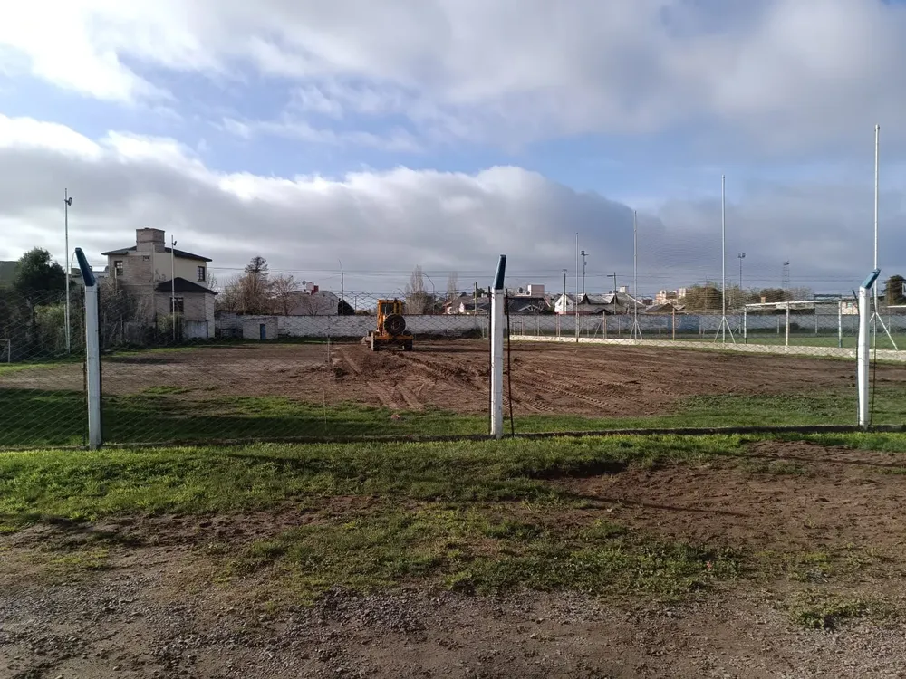 JORGE NEWBERY CANCHA
