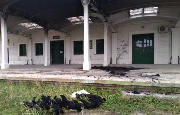 estacion ferroviaria vandalismo