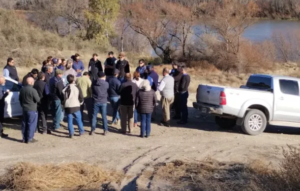 consejo regional inta