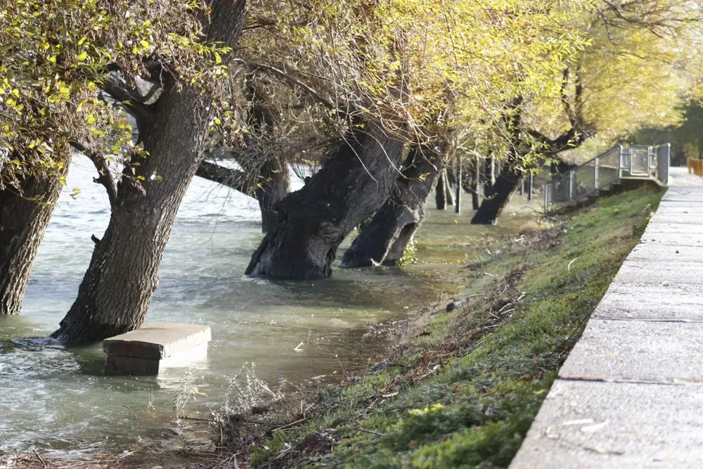 imagen_2025-06-23_112118709