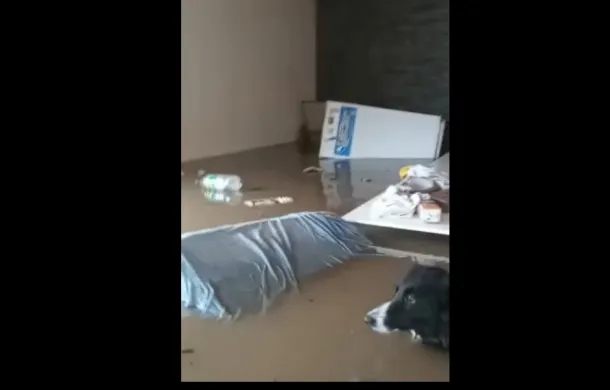 inundacion casas