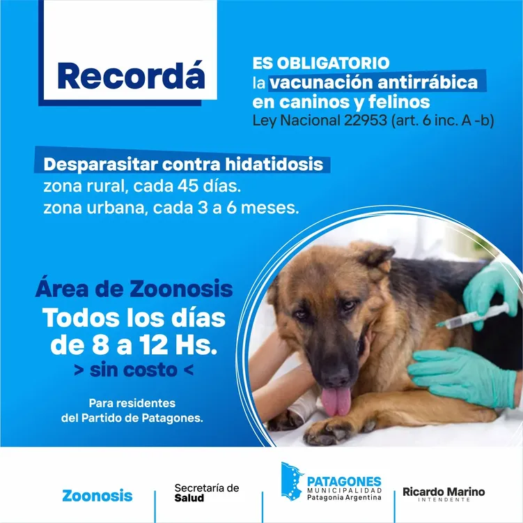 81c11f74-51ca-4ce7-91b1-0f24155c933f