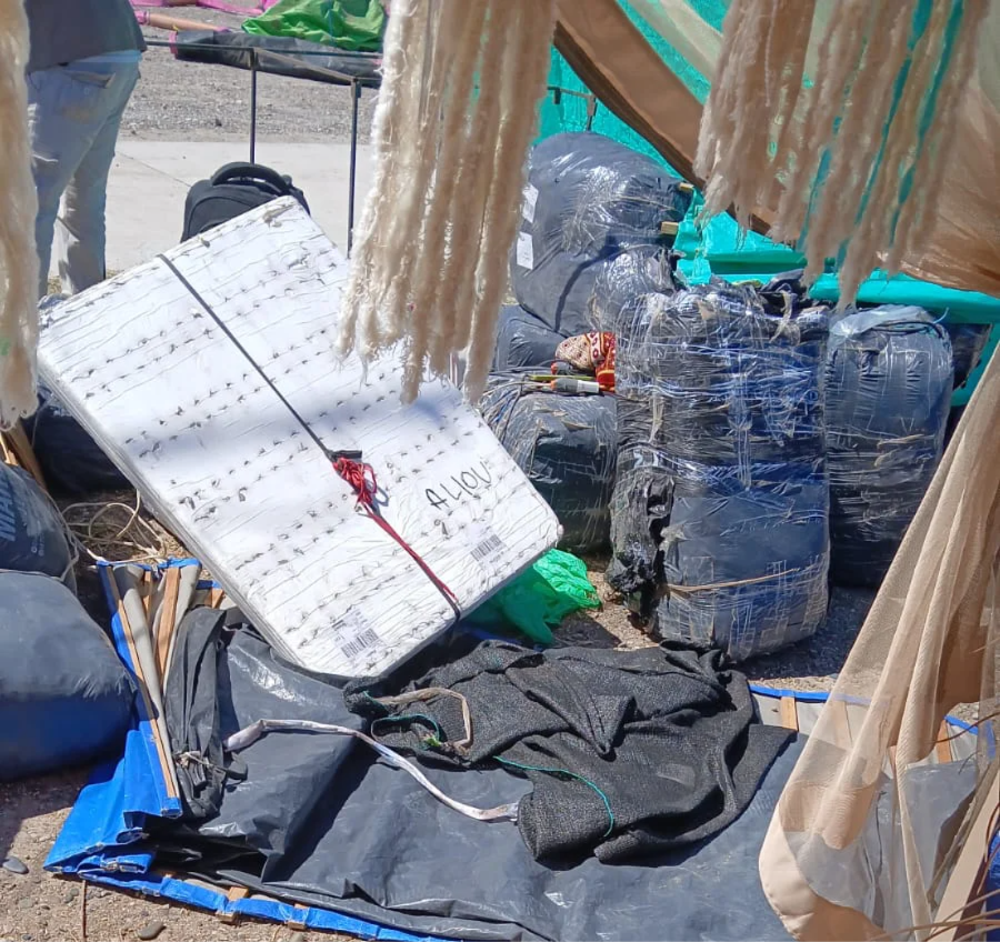 FIESTA DE LA SOBERANIA PATAGONICA 2026 PUESTO EXTRANJEROS