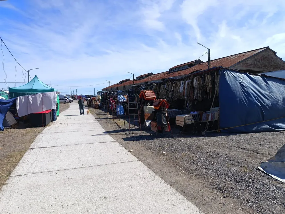 imagen_2026-03-04_132213018