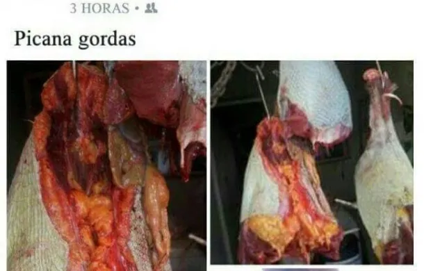 ñandu