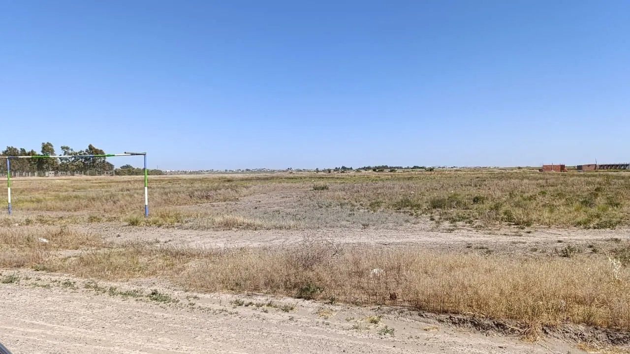 imagen_2025-10-30_142128096