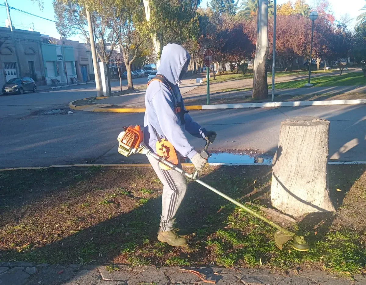 ESPACIOS VERDES, PLAZA
