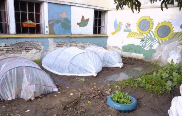 huertas comunitarias