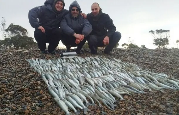 pesca san blas