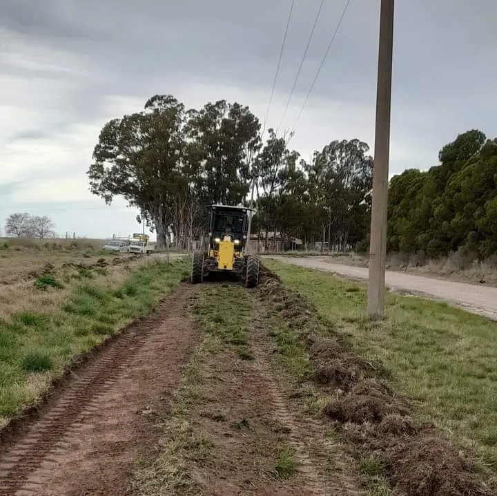 villalonga, tareas