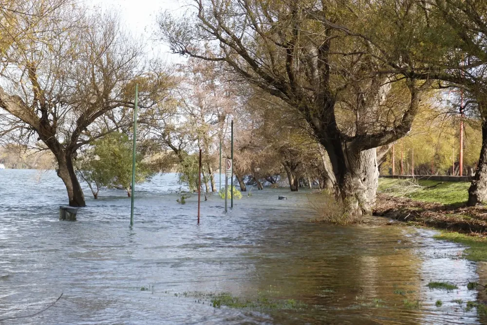 imagen_2025-06-23_112143363