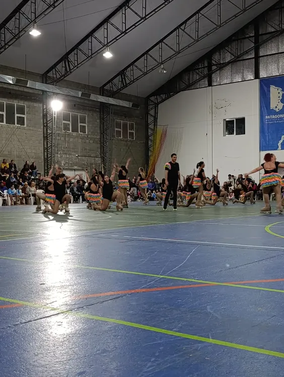 ESCUELA MUNICIPAL DE PATIN