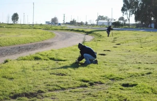 pista salud