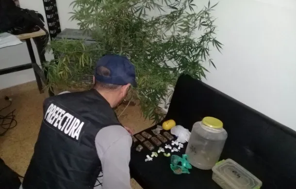 prefectura allanamiento drogas bahia blanca
