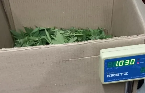 marihuana