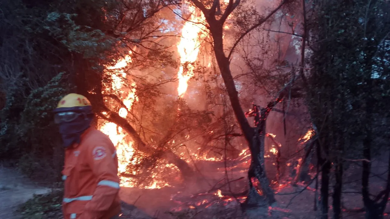 INCENDIO, COSTANERA