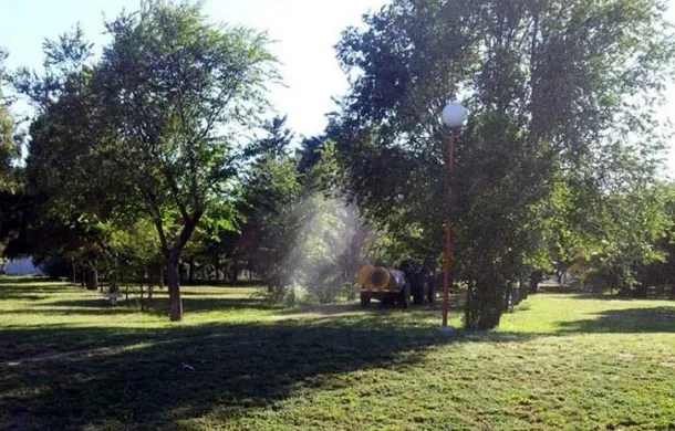 fumigacion