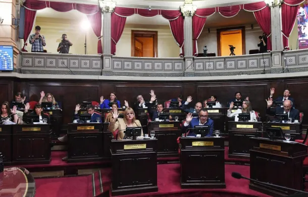senado
