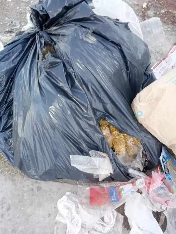 imagen_2025-05-12_102409837